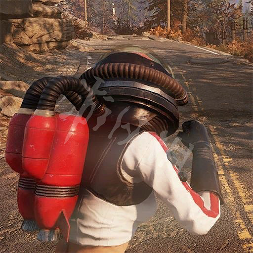 《異塵餘生76》原子商店全物品圖鑒匯總 原子商店物品有哪些