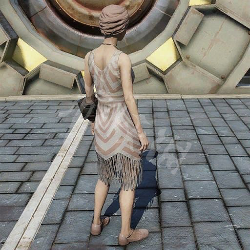 《異塵餘生76》原子商店全物品圖鑒匯總 原子商店物品有哪些