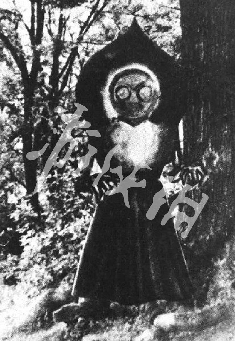 《異塵餘生76》特殊怪物大全及其背景介紹