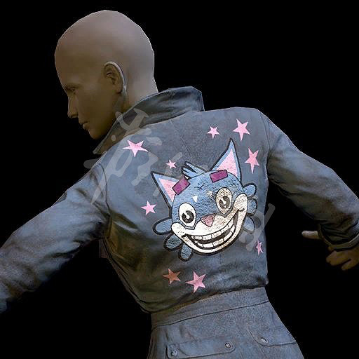 《異塵餘生76》原子商店全物品圖鑒匯總 原子商店物品有哪些