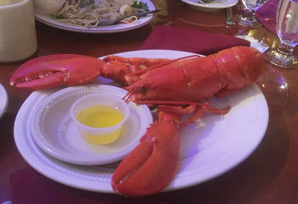 《異塵餘生4》荒野食譜介紹