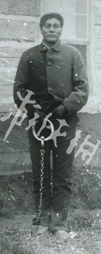 《異塵餘生76》特殊怪物大全及其背景介紹