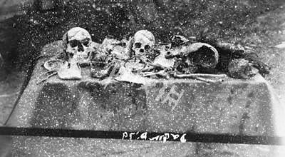 《異塵餘生76》特殊怪物大全及其背景介紹