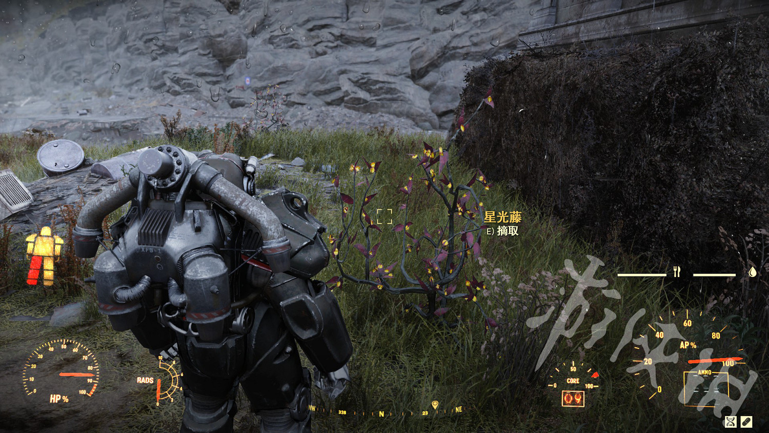 《異塵餘生76》健康食物在哪？地圖健康食物位置一覽