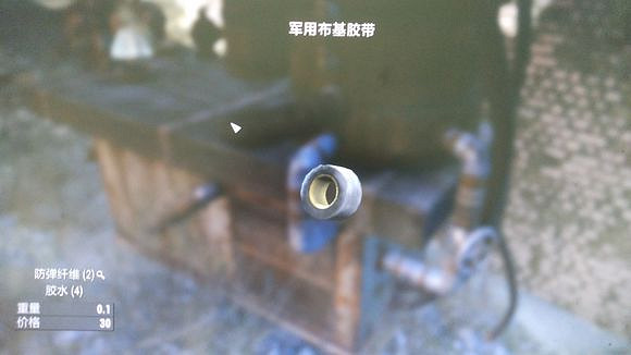 《異塵餘生4》荒野垃圾收集指南 新手該囤積哪些垃圾