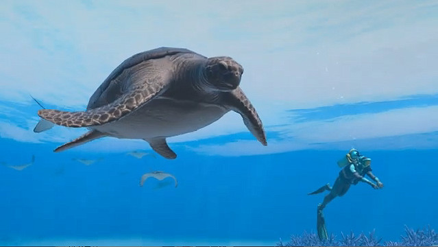 Switch新作《永恒蔚藍：流光》新CM公開！5月發售