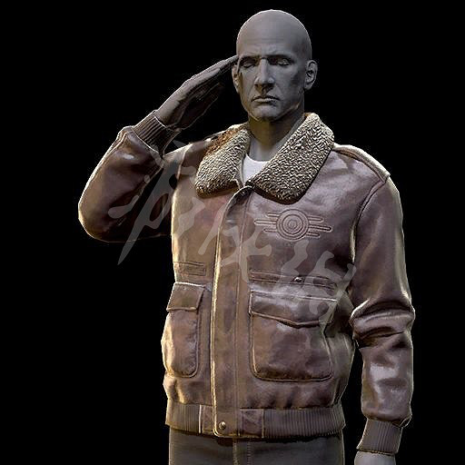 《異塵餘生76》原子商店全物品圖鑒匯總 原子商店物品有哪些