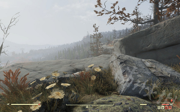 《異塵餘生76》野人嶺藏寶圖位置在哪？野人嶺藏寶圖位置一覽