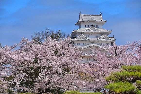《異塵餘生4》城堡建築圖文賞析