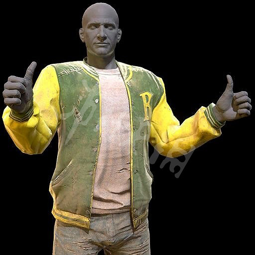 《異塵餘生76》原子商店全物品圖鑒匯總 原子商店物品有哪些