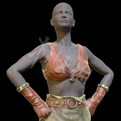 《異塵餘生76》原子商店全物品圖鑒匯總 原子商店物品有哪些