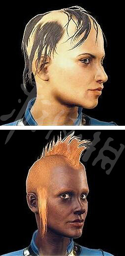 《異塵餘生76》原子商店全物品圖鑒匯總 原子商店物品有哪些