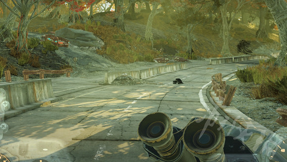 《異塵餘生76》萬聖節骷髏裝怎麽獲得?萬聖節骷髏裝地點詳解 《異塵餘生76》萬聖節骷髏裝怎麽獲得?萬聖節骷髏裝地點詳解