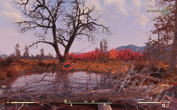 《異塵餘生76》紅梅沼澤藏寶圖位置在哪？紅梅沼澤藏寶圖位置一覽