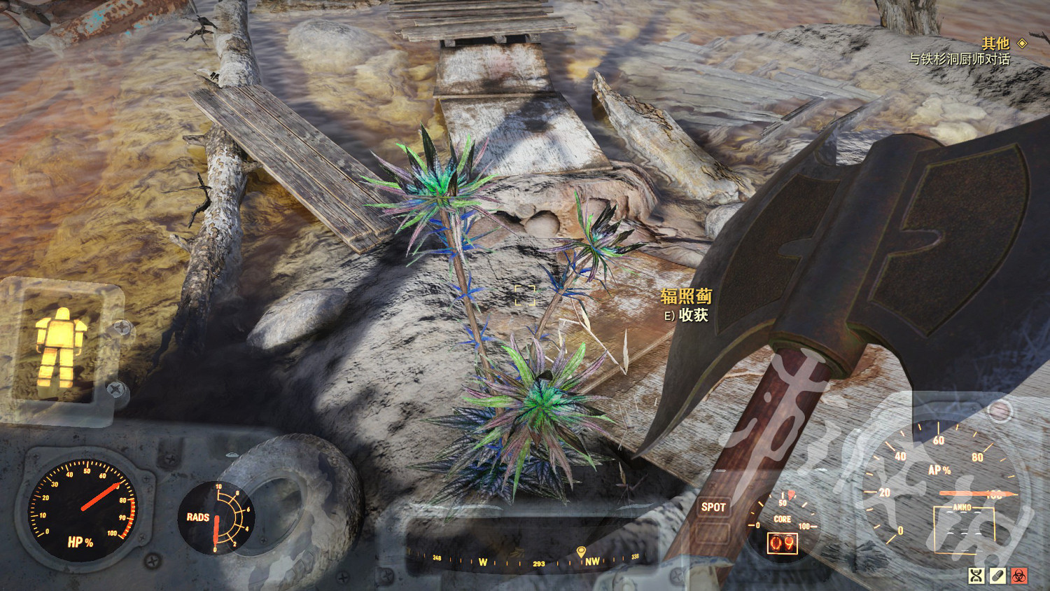 《異塵餘生76》健康食物在哪？地圖健康食物位置一覽