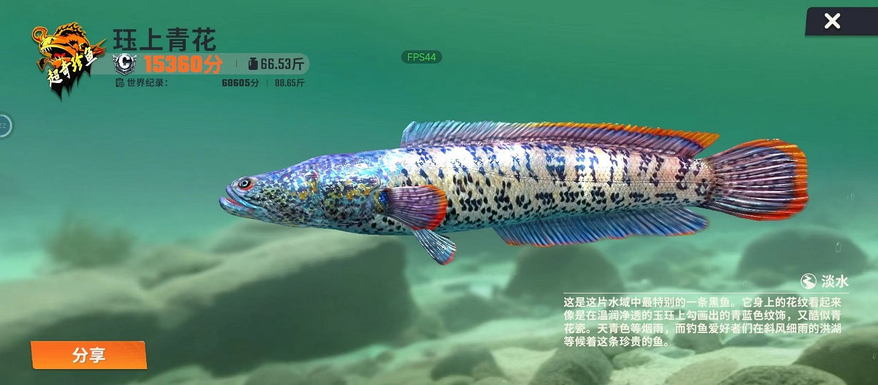 抖音播放超20億,這款釣魚遊戲怎麽就在網際網路上殺瘋了? 抖音播放超20億,這款釣魚遊戲怎麽就在網際網路上殺瘋了?