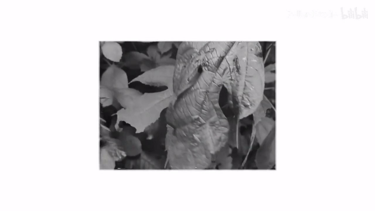 驚悚恐怖新作《黑暗世界:因與果》曝"墜入黑暗"預告 驚悚恐怖新作《黑暗世界:因與果》曝"墜入黑暗"預告