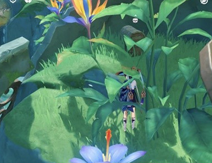 《原神》沉玉谷隱藏寶箱位置大全 《原神》沉玉谷隱藏寶箱位置大全