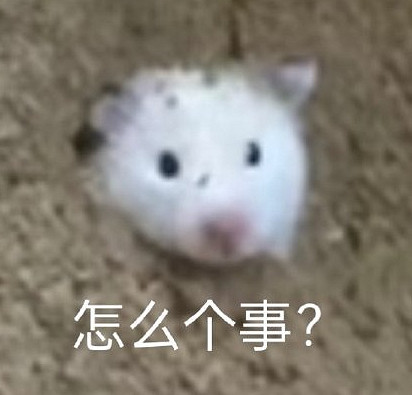 才剛經歷過大更新的星露谷物語,怎麽就惹到玩家了?