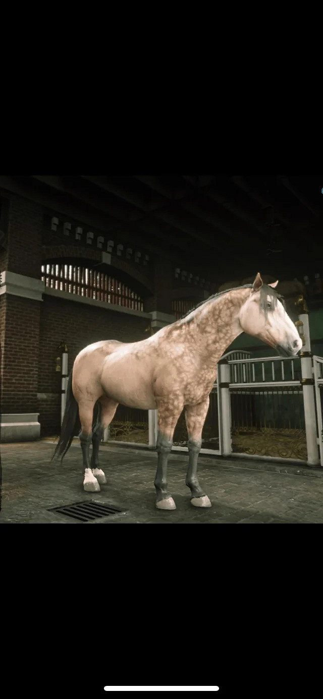 有點像！玩家現實的馬和《荒野大鏢客2》中的馬很相似