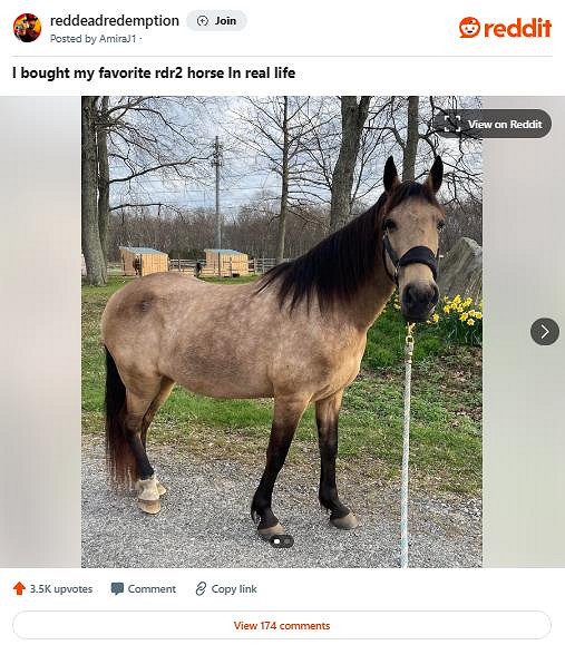 有點像！玩家現實的馬和《荒野大鏢客2》中的馬很相似