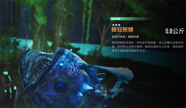 《劍星》限定稀有魚介紹 《劍星》限定稀有魚介紹