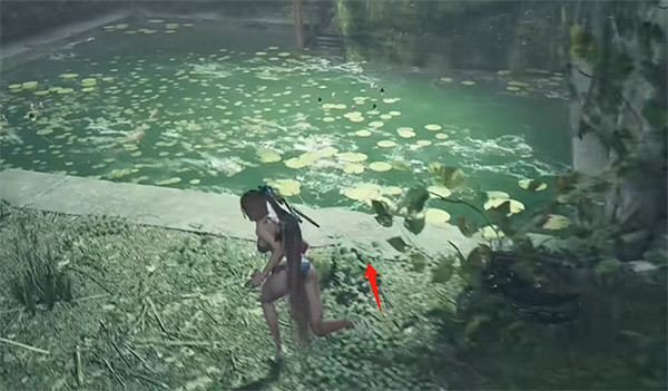 《劍星》全釣魚點位置 《劍星》全釣魚點位置