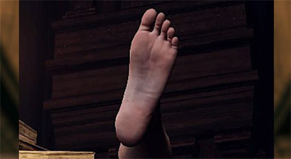 足控福利？國外玩家為《艾爾登法環》中所有的腳進行排名