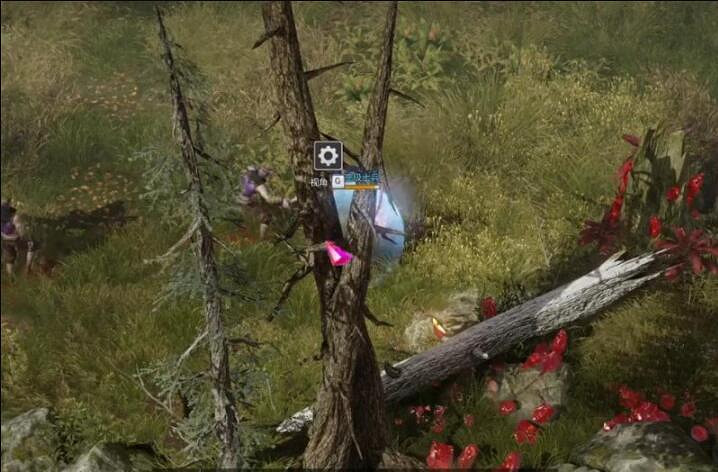 《命運方舟》弗萊傑全景觀景點位置一覽 《命運方舟》弗萊傑全景觀景點位置一覽