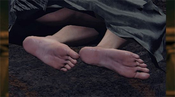 足控福利？國外玩家為《艾爾登法環》中所有的腳進行排名