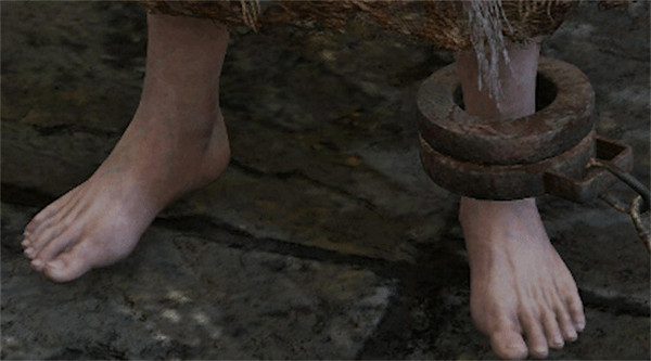 足控福利？國外玩家為《艾爾登法環》中所有的腳進行排名