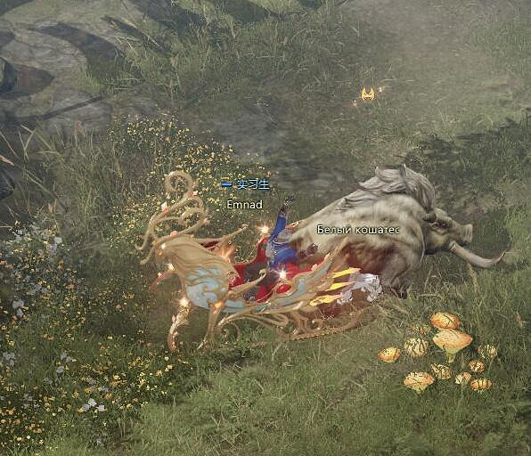 《命運方舟》鐵獠牙位置一覽 《命運方舟》鐵獠牙位置一覽