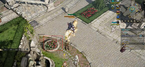 《命運方舟》更華麗的花束刷新點位置介紹 《命運方舟》更華麗的花束刷新點位置介紹