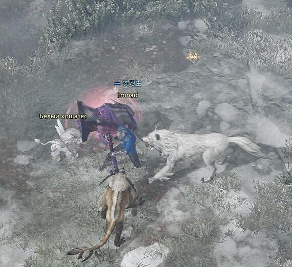 《命運方舟》頭狼位置一覽 《命運方舟》頭狼位置一覽