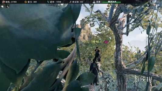 《下一站江湖2》輕功高手位置 《下一站江湖2》輕功高手位置