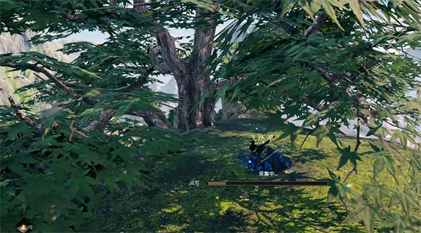 《下一站江湖2》飛煉草獲取位置 《下一站江湖2》飛煉草獲取位置