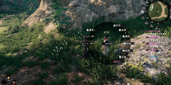 《下一站江湖2》花安位置介紹 《下一站江湖2》花安位置介紹