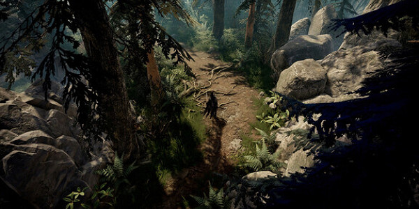 《夜族崛起》夜間種植棉花說明 《夜族崛起》夜間種植棉花說明