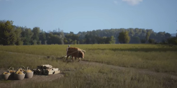 《莊園領主》護林員小屋作用介紹