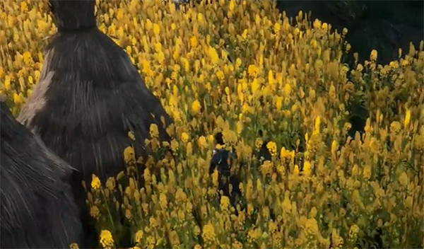 《下一站江湖2》丟失的手鐲任務攻略 《下一站江湖2》丟失的手鐲任務攻略