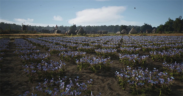 《莊園領主》採摘小屋沒東西採解決辦法