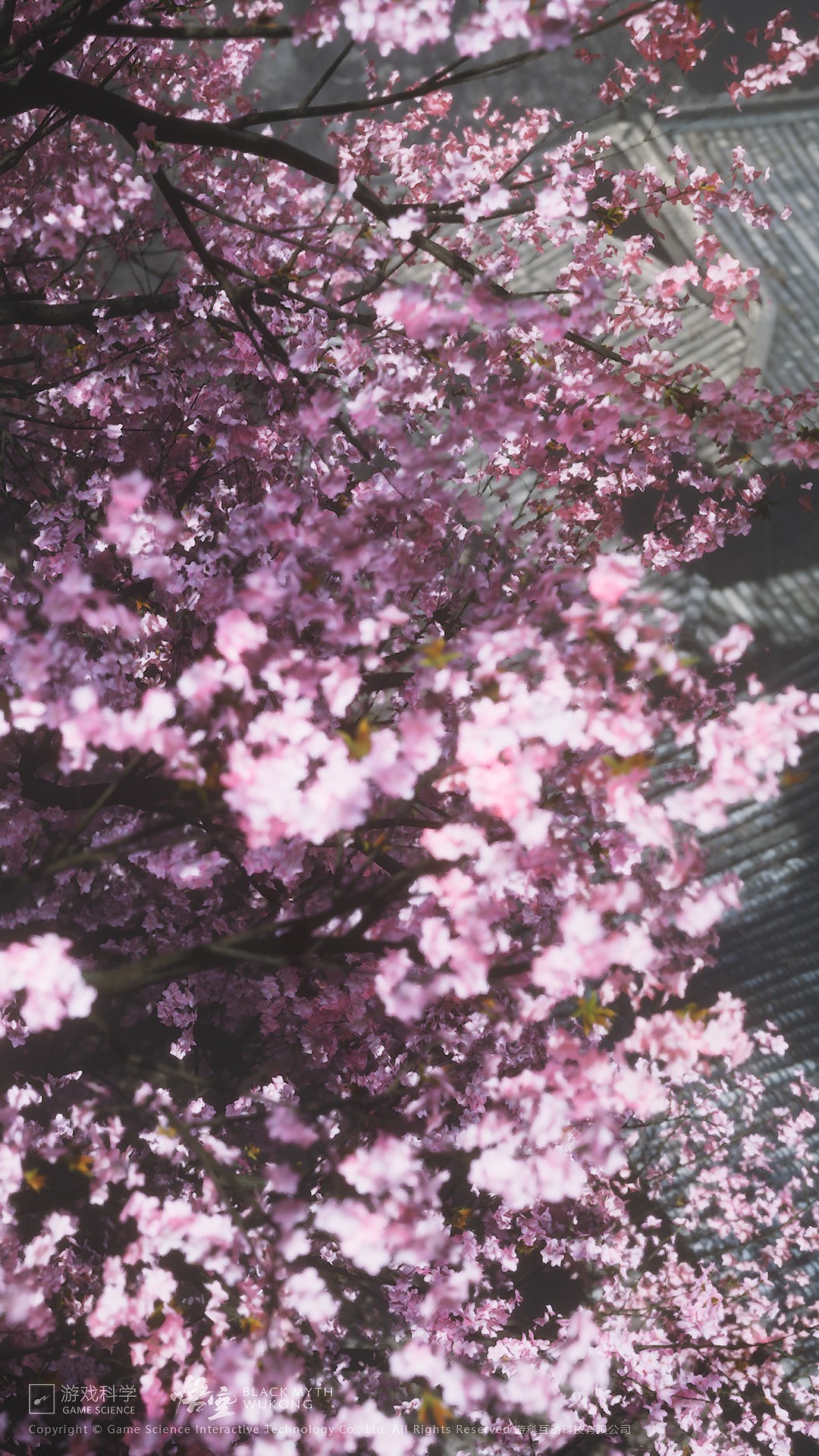 《黑神話：悟空》大量物料公布：包含原畫、壁紙等！