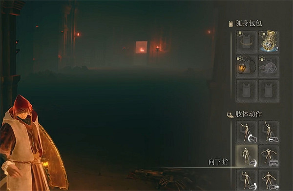 《艾爾登法環》情感動作介紹 《艾爾登法環》情感動作介紹