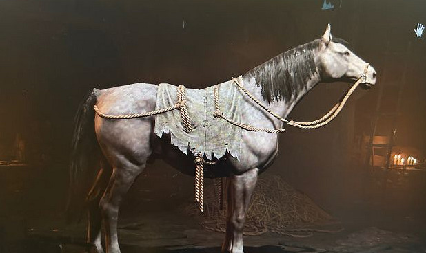 《暗黑破壞神4》坐騎白馬獲取方法