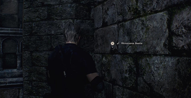 《惡靈古堡4重製版》犀牛甲蟲位置 《惡靈古堡4重製版》犀牛甲蟲位置