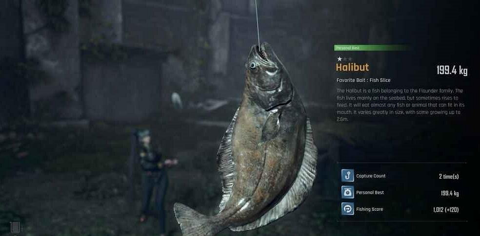 《劍星》關於魚的研究任務攻略 《劍星》關於魚的研究任務攻略