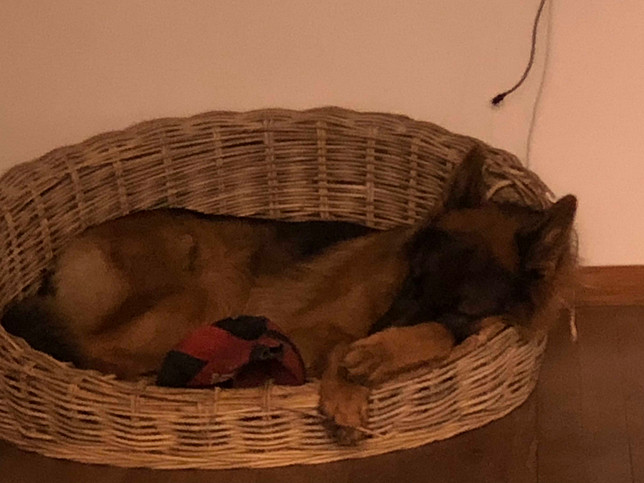 拉瑞安工作室新作透露 代號“湖中劍”尚處初期構想階段 拉瑞安工作室新作透露 代號“湖中劍”尚處初期構想階段