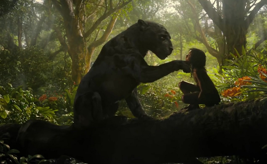 《森林之子》漲價介紹 《森林之子》漲價介紹