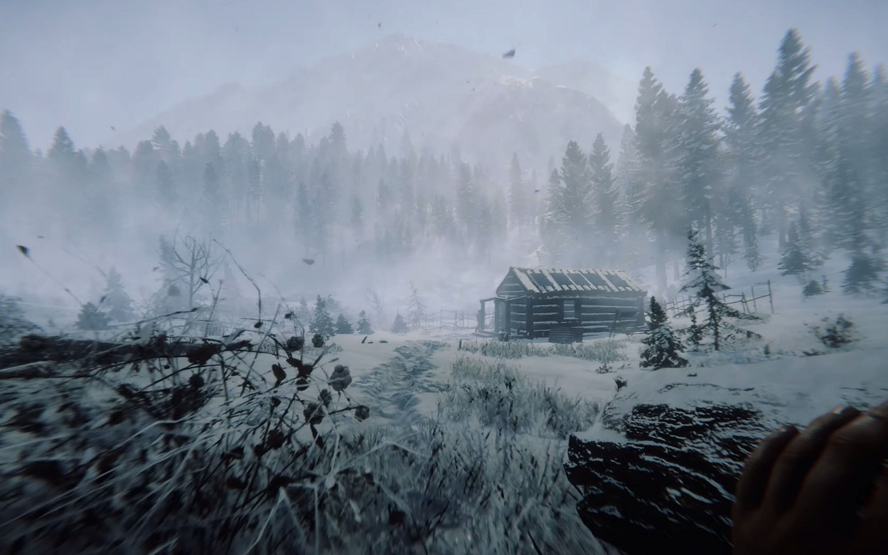 《森林之子》漲價介紹 《森林之子》漲價介紹