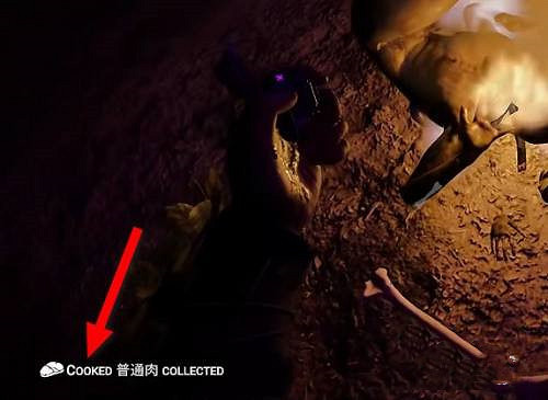 《森林之子》烤肉方法 《森林之子》烤肉方法